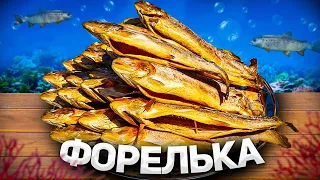 Форель холодного копчения. Рецепт #холодноекопчение #форель #коптильнятеремок