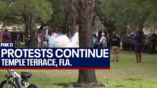 Pro-Palestinian rally in Temple Terrace