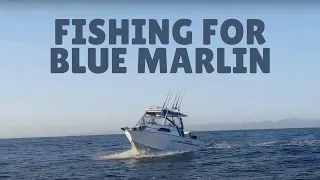 Fishing For Blue Marlin - Gold Coast Australia - Deep Sea Fishing