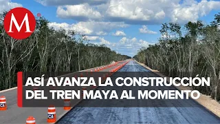 Se han hallado 53 mil 385 bienes inmuebles mayas en obras del Tren Maya