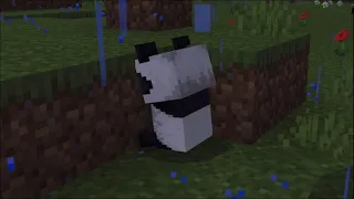 A Worried Baby Panda! | Minecraft