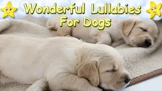 Lullaby For Dogs Golden Retrievers Sleeping ♫ Calm Relax Your Dog Puppy ♥ Nursery Rhyme Sleep Music