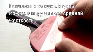 Ракетка для настольного тенниса с Aliexpress