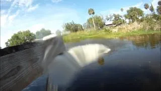 BMX jumping in water