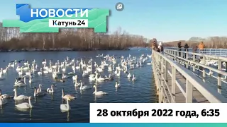 Новости Алтайского края 28 октября 2022 года, выпуск в 6:35