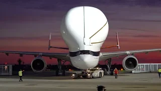 4K | AIRBUS BELUGA XL [F-WBXL] Überflug Landung in Bremen low approach and landing