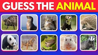 Guess 100 Animals in 3 seconds | Animal Quiz Challenge