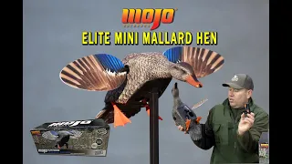 MOJO Elite Mini Mallard Hen обзор чучела