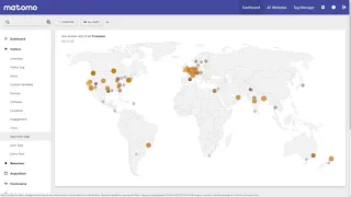 Matomo Analytics - Visitors Feature