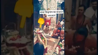 Kashi Vishwanath Live Arti Shivling Darshan