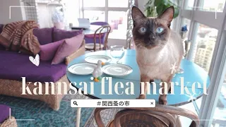 [vlog]4年ぶりの関西蚤の市/戦利品紹介/#保護猫と暮らす/#カラフルインテリア