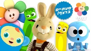 צופי | צופי וחברים בכיף! | ספיישל שעתיים ברצף | שירים צבעים וצורות