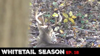 HUGE BUCK AT 35 YARDS!! - Public Land (Rut Vacation Ep. 1)