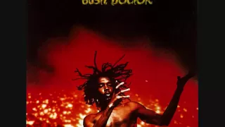 Peter Tosh - Bush Doctor