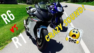 Yamaha R6 vs Yamaha R1 Exhaust Sound Battle in the Mountains