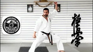 KYOKUSHIN KARATE PINAN SONO GO