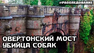 Овертонский мост УБИВАЕТ СОБАК!