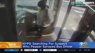 Bus driver pepper sprayed in Manhattan