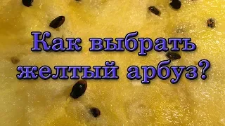 Как выбрать желтый арбуз?