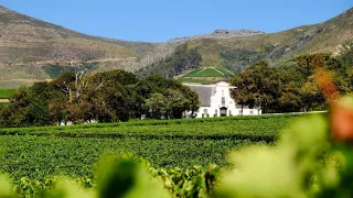 GROOT CONSTANTIA, the Cradle of Winemaking in the Cape