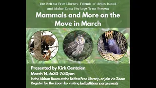 Mammals and More on the Move in March with Kirk Gentalen