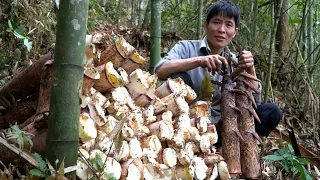 Harvesting Giant Bamboo Shoots / Chili Bamboo Shoots Making Process  - Solo Survival