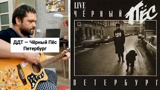 ДДТ — Чёрный Пёс Петербург (Cover + Разбор)