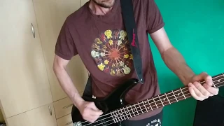 ЗЕМЛЯ В ИЛЛЮМИНАТОРЕ(Bass cover)