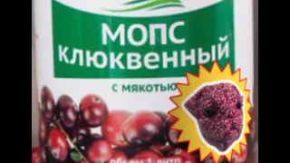 Реклама "Клюквенный мопс"