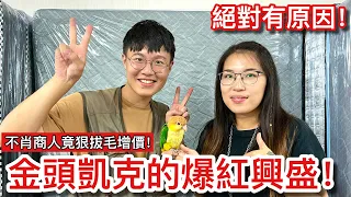 揭真相！學姊親曝慘忍「扯毛」賣鳥黑暗作法？4台摩托車出發「秘密基地」帶帕薩自由飛翔吧！【鸚鵡小木屋】