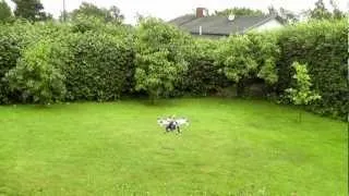 DJI F550, with new Tiger motor's 2814-10 (770Kv)