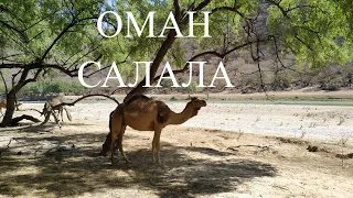 Оман Салала.