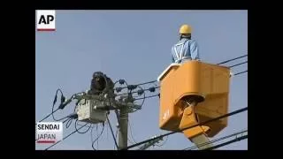 must watch... Chimpagi jumps high electricity wire on japan