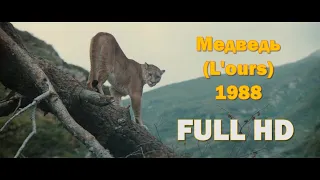 Медвежонок спасается от пумы. Отрывок из фильма «Медведь» (1988)