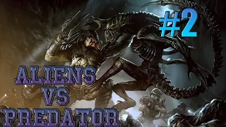 Aliens vs Predator #2 Королева чужих