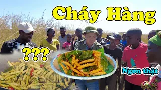 Đông Paulo || Tằm Xào Việt Nam “Cháy Hàng” Ngay Lần Đầu Ra Mắt Người Dân Bản