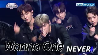 Wanna One (워너원)  - NEVER [SUB: ENG/CHN/2017 KBS Song Festival(가요대축제)]