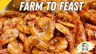 Shrimp Farm Adventure! : The Best Asian Cajun Shrimp Recipe!