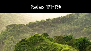 Psalms 121-130 NIV Audio Bible(with text)