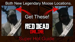 Both New Legendary Moose Locations - Red Dead Online