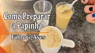 Como Preparar a Papinha de Forma Simples e Segura - Passo a Passo