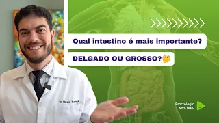 Qual intestino é o mais importante? Intestino delgado ou intestino grosso?