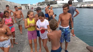 Slow Motion Video From Rabo De Peixe Sao Miguel Azores