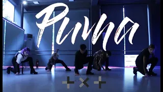 TXT (투모로우바이투게더) - PUMA (동물원을 빠져나온 퓨마) | Dance Cover by O.cyan