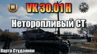 VK 30.01H / Неторопливый СТ / Мастер