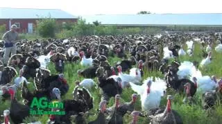 Frank Reese - Good Shepard Turkey Ranch