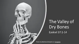 Can these bones live? (Ezekiel 37:1-14)