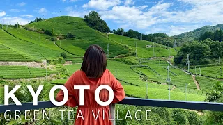 KYOTO🇯🇵 Uji green tea plantation in WAZUKA🌱✨ Japan Travel Vlog