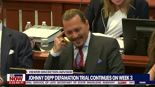 Johnny Depp, judge crack up during 'bizarre' witness testimony | LiveNOW from FOX