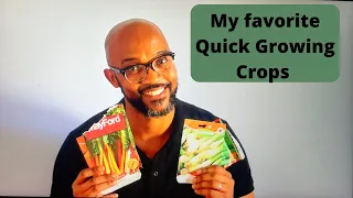 5 Quick growing crops - South African Garden